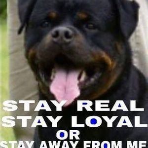 Meet your Posher, William